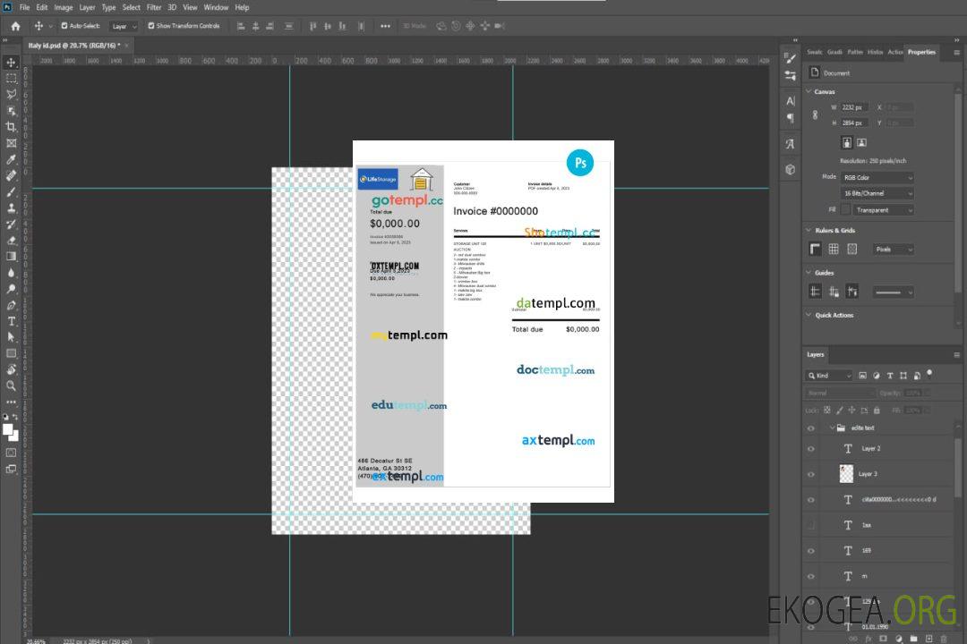 Facture de stockage de vie template Facture de stockage de vie template
